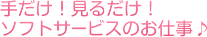 手だけ！見るだけ！ソフトサービスのお仕事♪